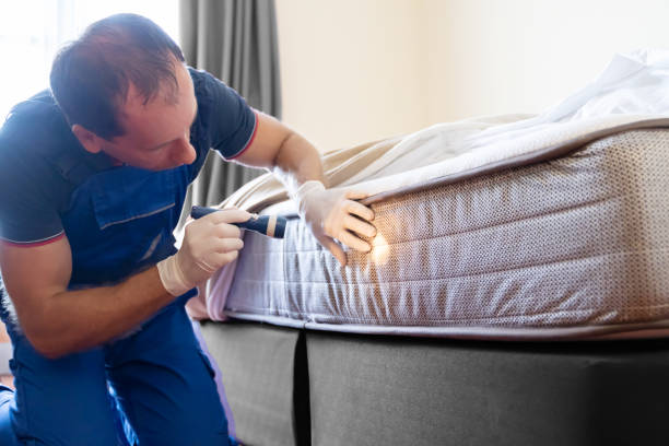 Best Bed Bug Extermination  in Park Forest, IL